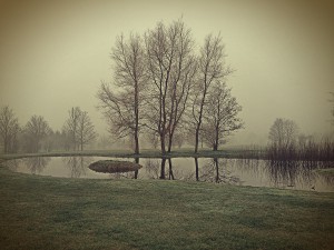 The 18th Pond in Winter