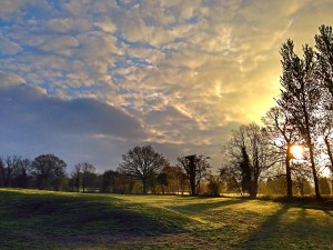 An Autumn Morning