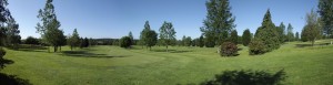 Panorama from the 8th Tee