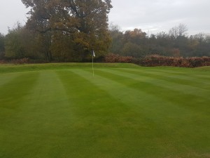 The 12th Green