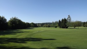 The 17th Hole from the Green