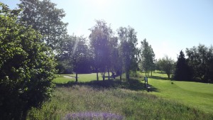 The 2nd Tee and 10th Green