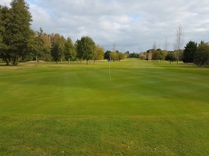 The 6th Green